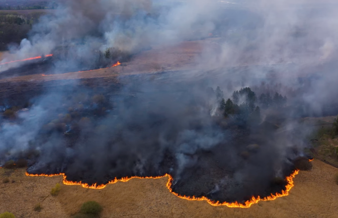 Ecomafia 2023: in aumento i reati contro l'ambiente 